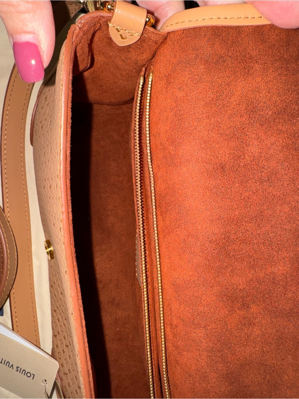 NWT Louis Vuitton Diane Hazelnut Mini Monogram  Leather Shoulder/Crossbody Bag - Picture 3 of 13